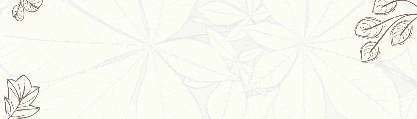 Physiothérapie du dos / rachis